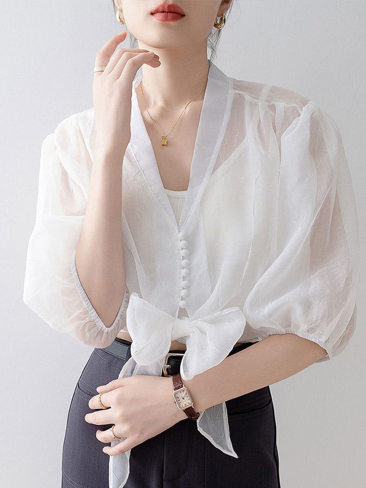 Alyssa Retro V-Neck Lantern Sleeve Chiffon Shirt