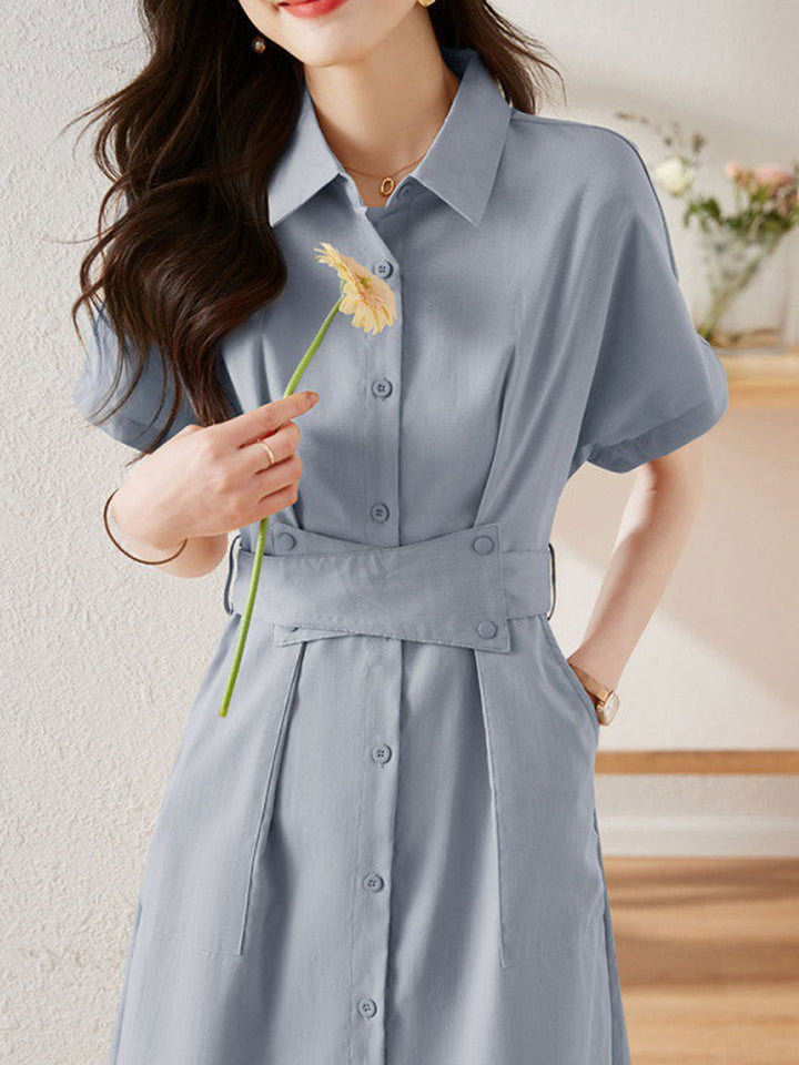 Andrea Retro Waisted Paneled Shirt Dress